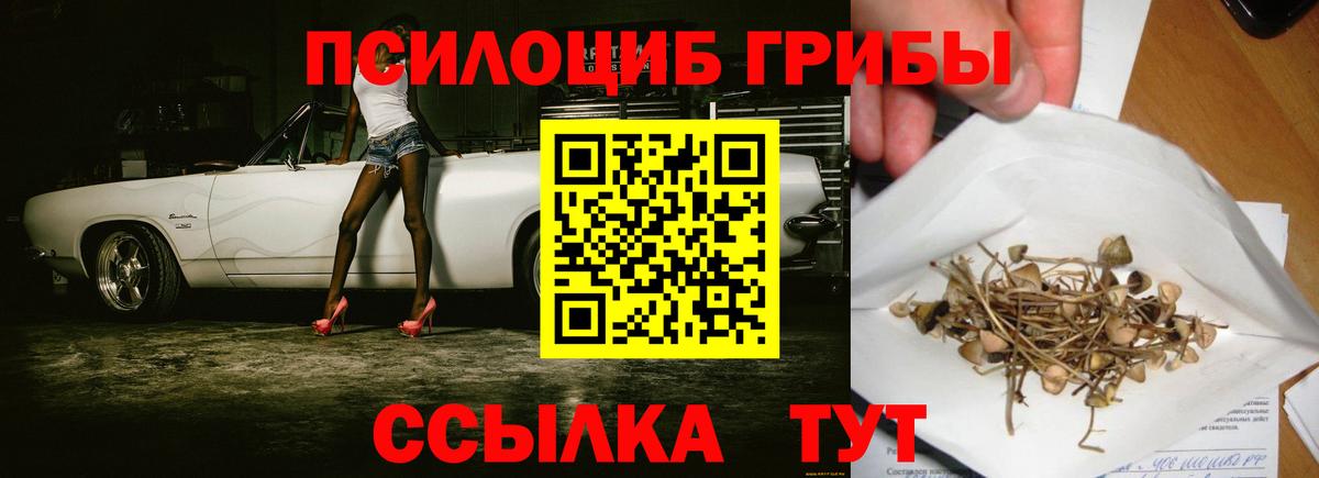 Джанкой  Галлюциногенные грибы GOLDEN TEACHER  Вход с VPN 