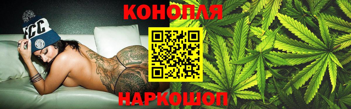 Конопля план  Каннабис сатива  Шишки марихуана планчик  Джанкой  Вход с VPN 